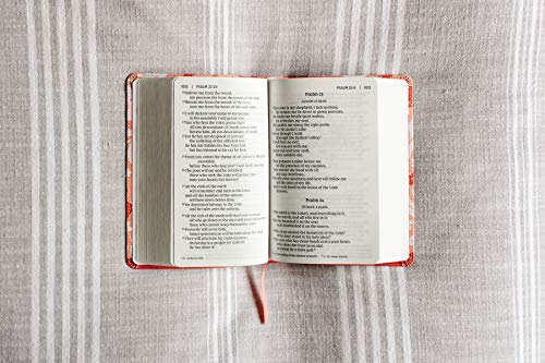 Holy Bible: New International Version, Coral, Leathersoft, Giant Print Bible for Girls, Comfort Print