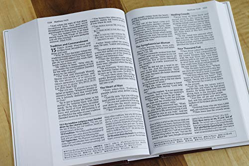 AMPLIFIED STUDY BIBLE HC