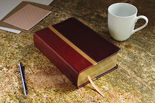 NIV & The Message Parallel Study Bible: Dark Caramel/Black Cherry Italian Duo-Tone