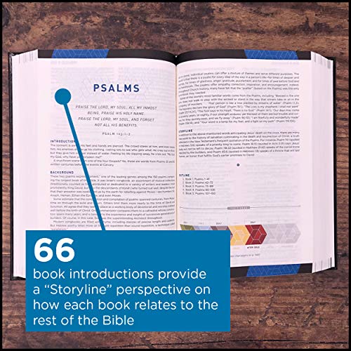 NIV Storyline Bible: New International Version, Black, Leathersoft, Each Story Plays a Part, See How They All Connect