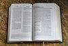 NIV & The Message Parallel Study Bible: Dark Caramel/Black Cherry Italian Duo-Tone