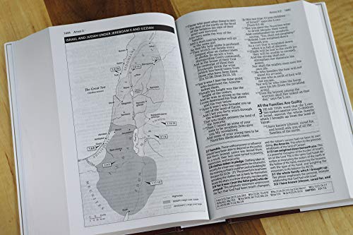 AMPLIFIED STUDY BIBLE HC