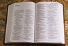 Holy Bible: New International Version, Tan, Italian Duo-tone, Readeasy Bible