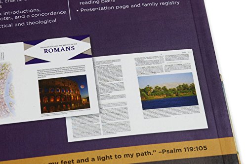 NKJV Holman Full-Color Study BibleEdition Personal Size