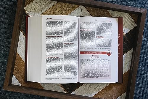 NKJV, Teen Study Bible, Hardcover, Comfort Print: NKJV, Teen Study Bible, Comfort Print