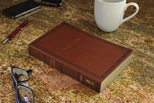 NIV, Holy Bible, Soft Touch Edition, Leathersoft, Brown, Com