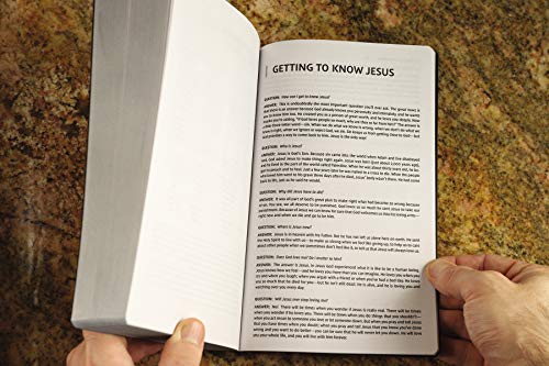NIV, Holy Bible, Soft Touch Edition, Leathersoft, Black, Com