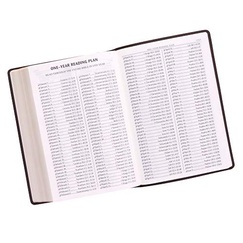 KJV Super Giant Print Brown Red Letters