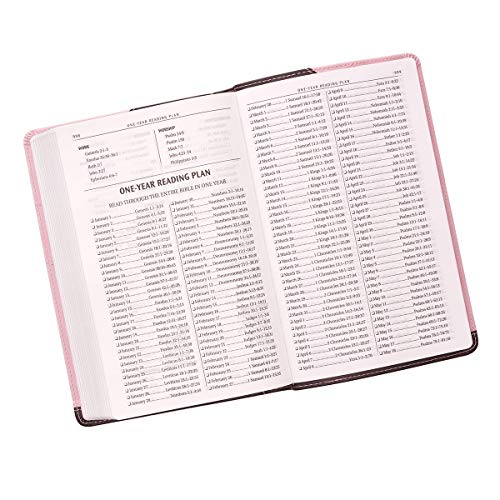 KJV Standard Size Lux-Leather Pink/Brown