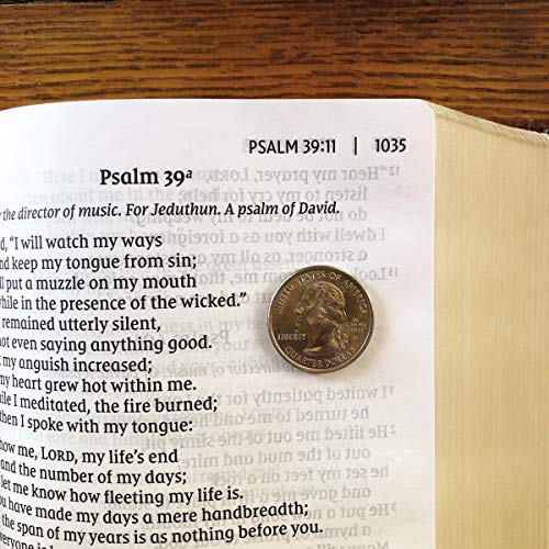 Holy Bible: New International Version, Brown Leathersoft, Giant Print: Red Letter Edition, Comfort Print