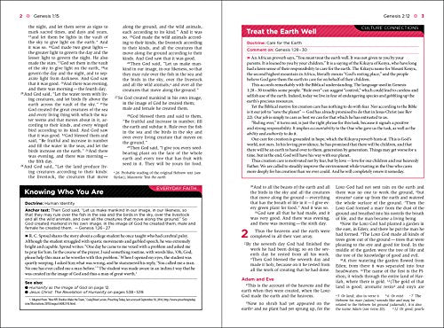 NIV, Understand the Faith Study Bible, Imitation Leather, Blue, Indexed: Grounding Your Beliefs in the Truth of Scripture