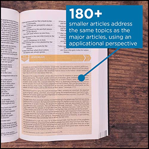 NIV Storyline Bible: New International Version, Black, Leathersoft, Each Story Plays a Part, See How They All Connect
