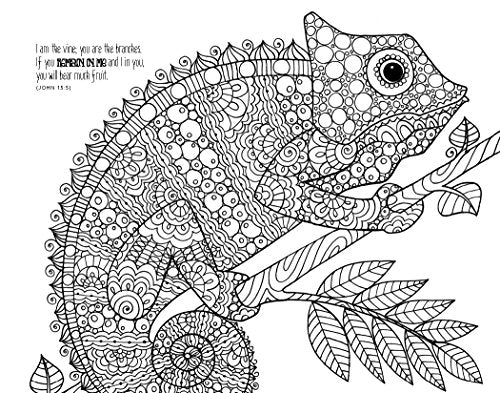 Holy Bible: New International Version, Wonders of Creation Holy Bible: Illustrations to Color and Inspire