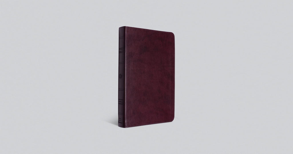 ESV Large Print Thinline Bible: Esv Thinline Bible Trutone, Mahogany Imitation Leather – Import, 25 May 2021