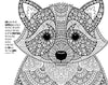Holy Bible: New International Version, Wonders of Creation Holy Bible: Illustrations to Color and Inspire