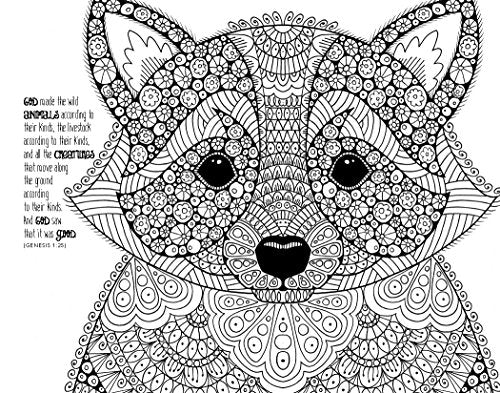 Holy Bible: New International Version, Wonders of Creation Holy Bible: Illustrations to Color and Inspire