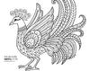 Holy Bible: New International Version, Wonders of Creation Holy Bible: Illustrations to Color and Inspire