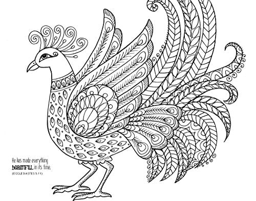 Holy Bible: New International Version, Wonders of Creation Holy Bible: Illustrations to Color and Inspire