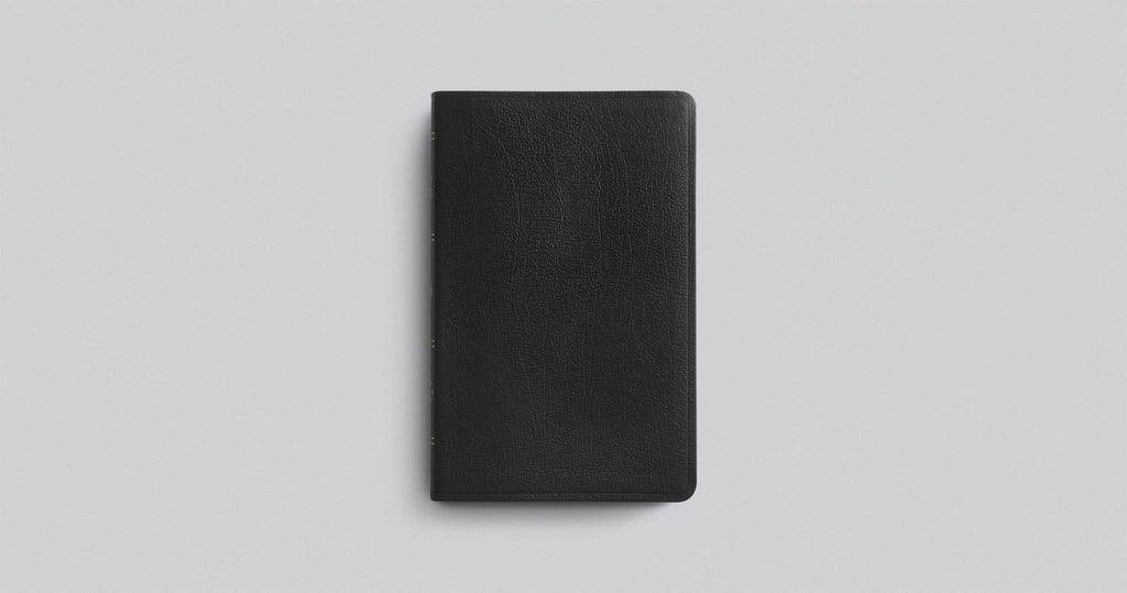 ESV Thinline Bible Leather Bound – Import, 25 March 2003