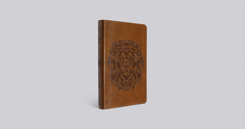 ESV Thinline Bible Imitation Leather – Import, 29 February 2016