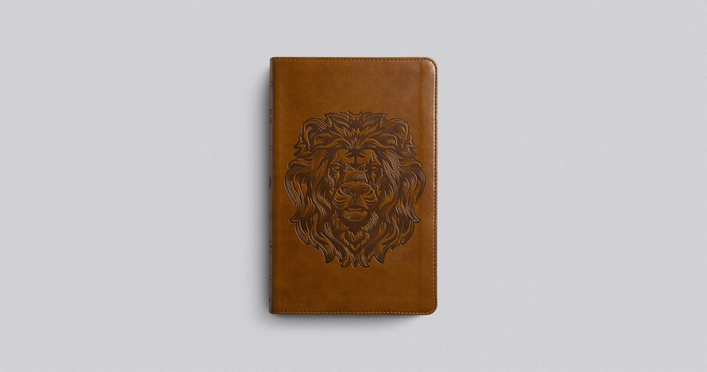 ESV Thinline Bible Imitation Leather – Import, 29 February 2016