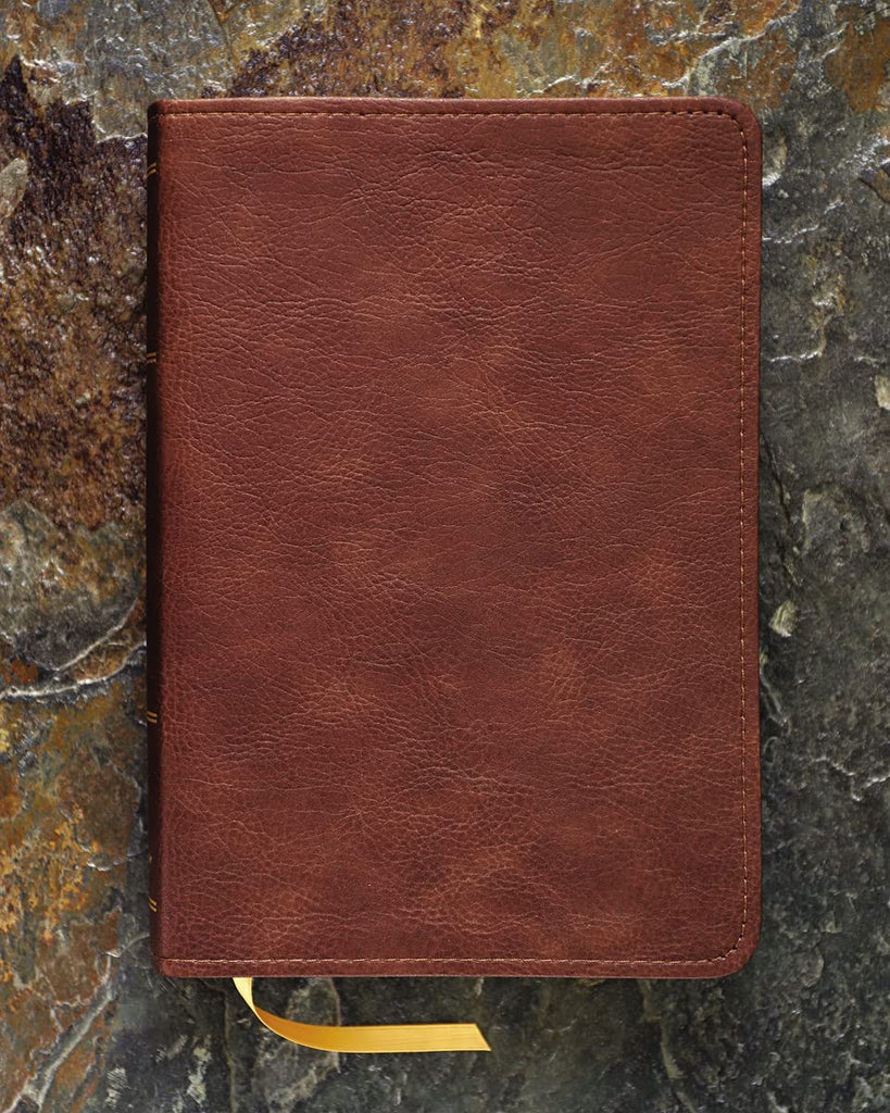 KJV, Thompson Chain-Reference Bible, Handy Size, Leathersoft, Brown, Red Letter: King James Version, Brown, Leathersoft, Red Letter, Handy Size Imitation Leather – Import, 8 June 2021