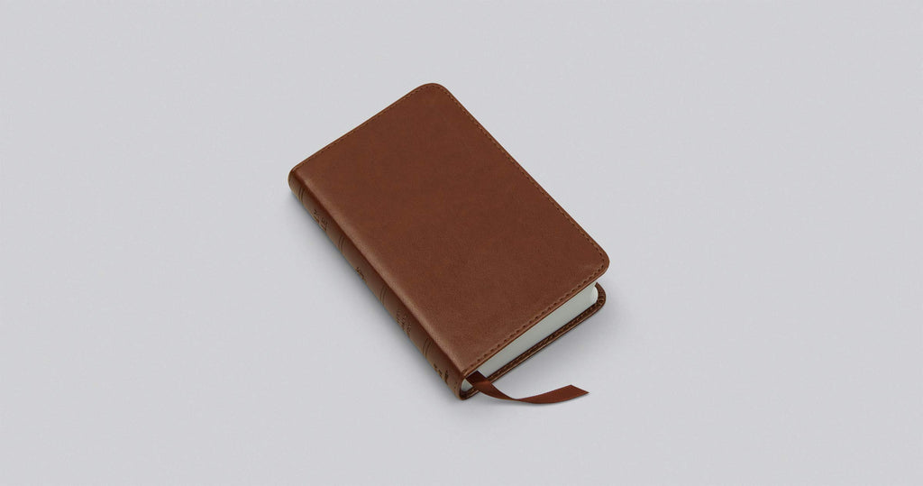 ESV Pocket Bible Imitation Leather – Import, 30 June 2020