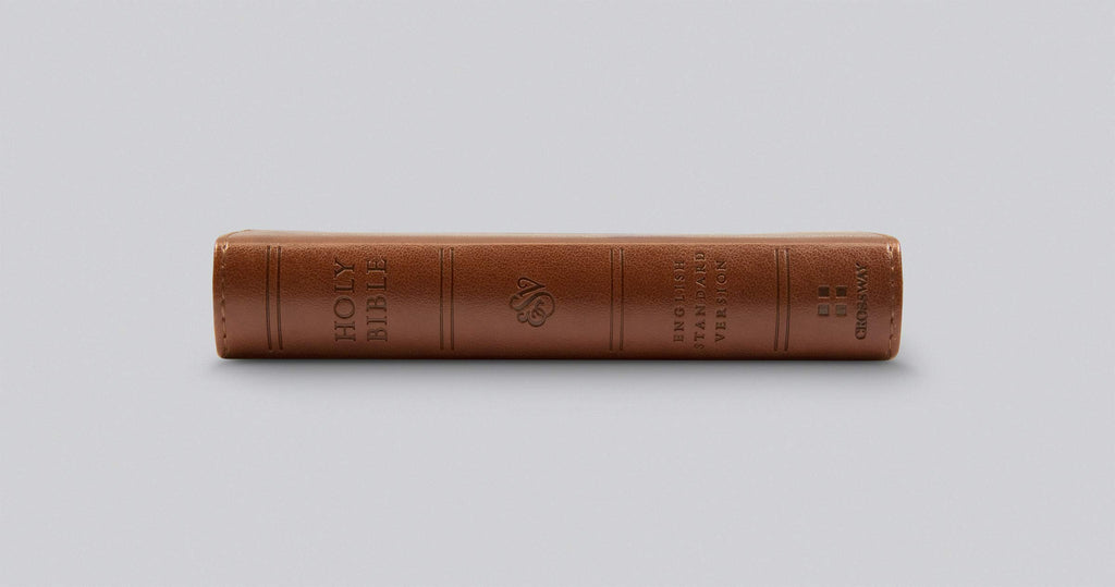 ESV Pocket Bible Imitation Leather – Import, 30 June 2020