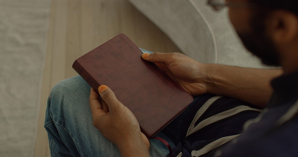 ESV Large Print Thinline Bible: Esv Thinline Bible Trutone, Mahogany Imitation Leather – Import, 25 May 2021