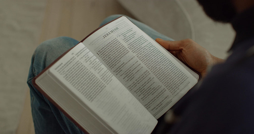 ESV Large Print Thinline Bible: Esv Thinline Bible Trutone, Mahogany Imitation Leather – Import, 25 May 2021