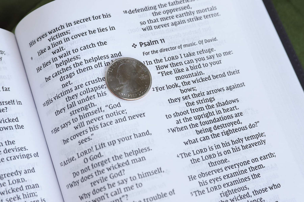NIV, Personal Size Bible, Large Print, Leathersoft, Black, R Imitation Leather – 26 November 2019