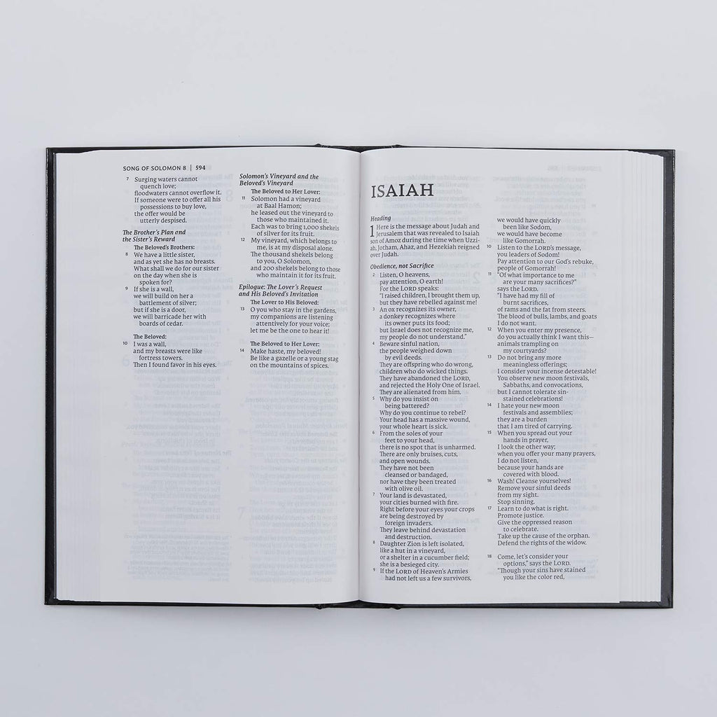 NET Bible, Pew and Worship, Hardcover, Black, Comfort Print: Holy Bible Hardcover – Import, 1 October 2019