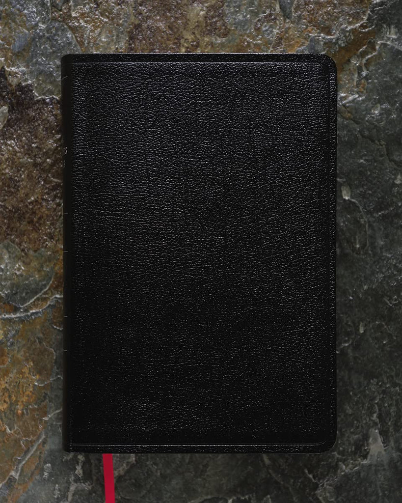 Cultural Backgrounds Study Bible: New International Version, Black, Bonded Leather, Bringing to Life the Ancient World of Scripture Bonded Leather – Illustrated
