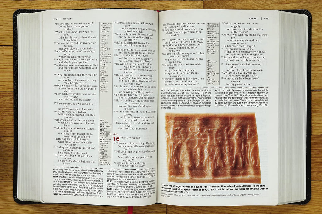 Cultural Backgrounds Study Bible: New International Version, Black, Bonded Leather, Bringing to Life the Ancient World of Scripture Bonded Leather – Illustrated
