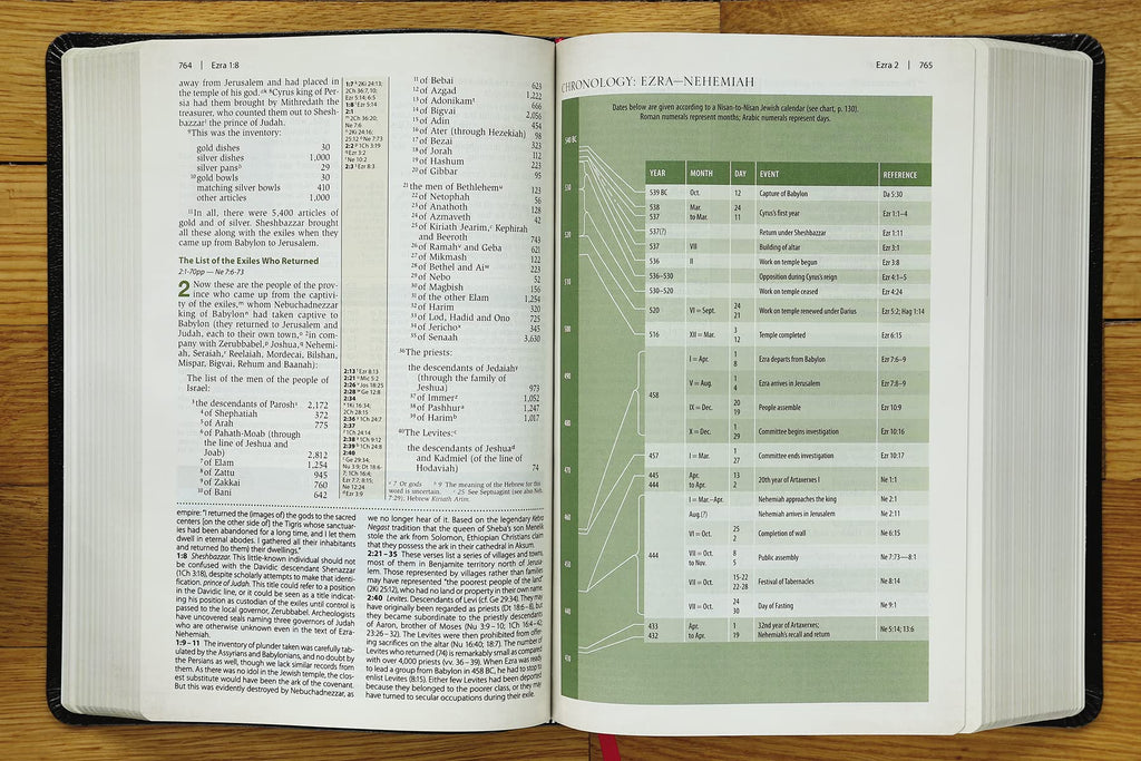 Cultural Backgrounds Study Bible: New International Version, Black, Bonded Leather, Bringing to Life the Ancient World of Scripture Bonded Leather – Illustrated