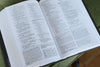 NIV, Foundation Study Bible, Hardcover, Red Letter Edition Hardcover – Illustrated