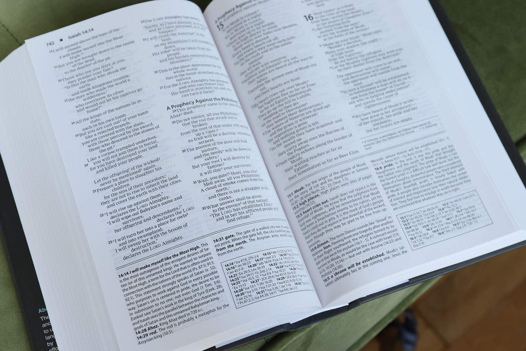NIV, Foundation Study Bible, Hardcover, Red Letter Edition Hardcover – Illustrated