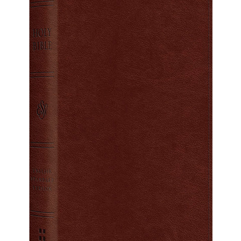 ESV Pocket Bible Imitation Leather – Import, 30 June 2020