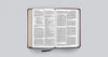 ESV Large Print Thinline Bible: Esv Thinline Bible Trutone, Mahogany Imitation Leather – Import, 25 May 2021