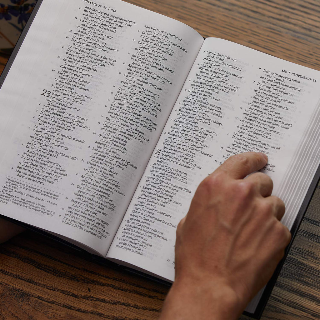 NET Bible, Pew and Worship, Hardcover, Black, Comfort Print: Holy Bible Hardcover – Import, 1 October 2019