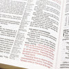 NASB, Classic Reference Bible, Leathersoft, Black, Red Letter, 1995 Text, Comfort Print Imitation Leather – 31 August 2021