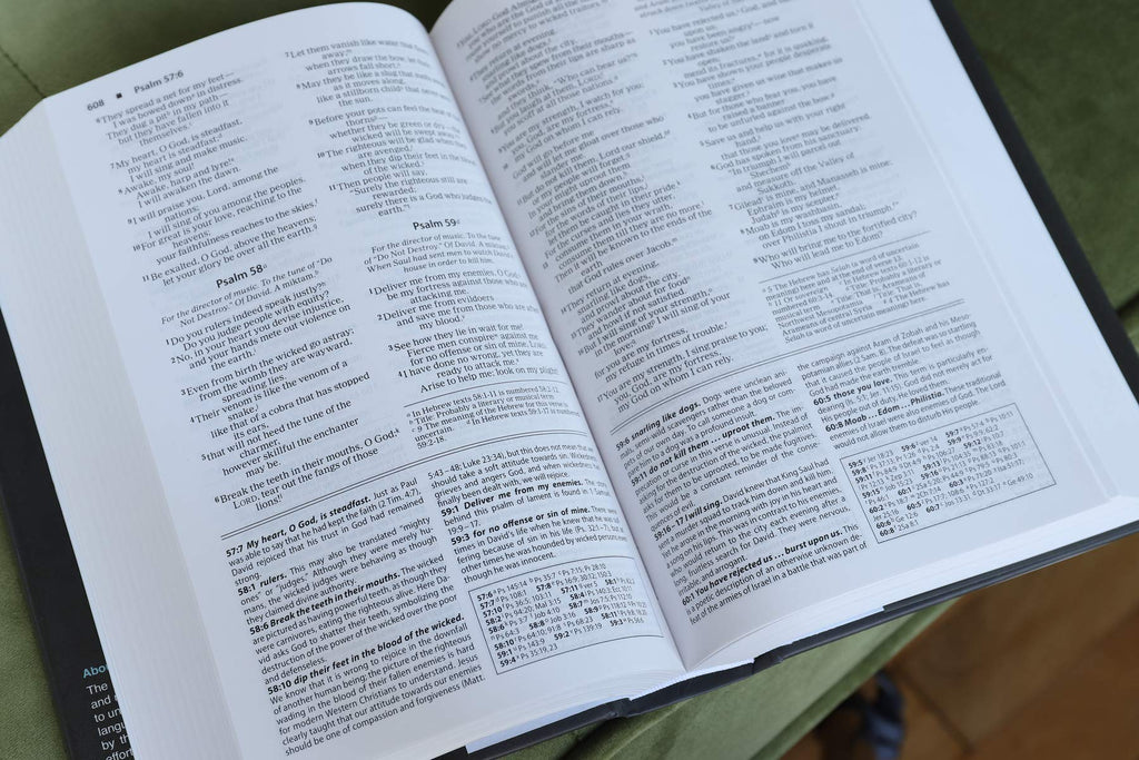NIV, Foundation Study Bible, Hardcover, Red Letter Edition Hardcover – Illustrated