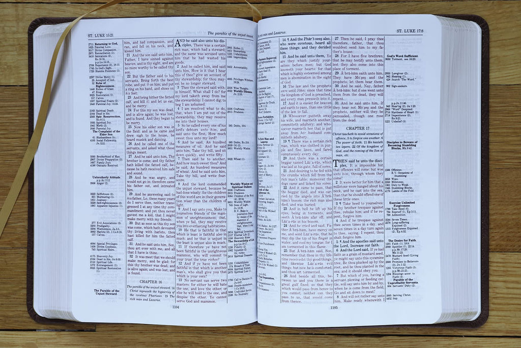 KJV, Thompson Chain-Reference Bible, Handy Size, Leathersoft, Brown, Red Letter: King James Version, Brown, Leathersoft, Red Letter, Handy Size Imitation Leather – Import, 8 June 2021