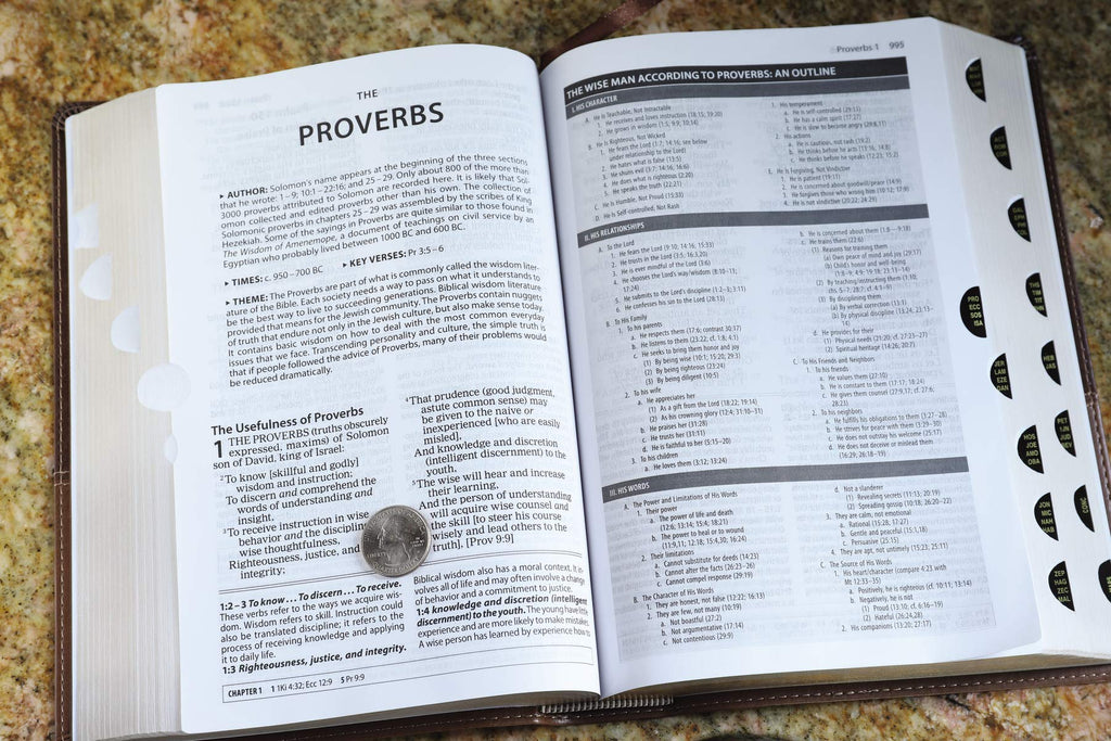 Amplified Study Bible, Imitation Leather, Brown Imitation Leather – 23 March 2017