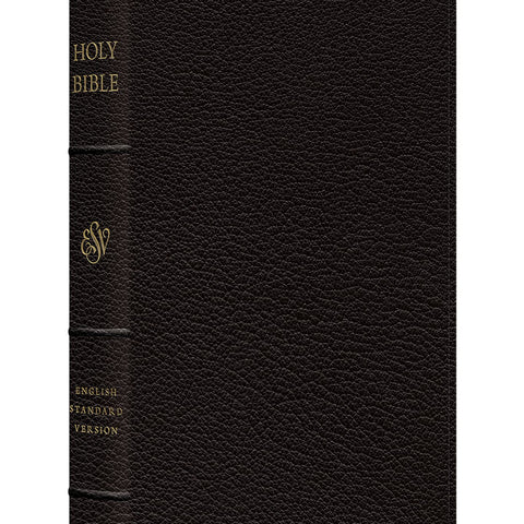 ESV Preaching Bible, Verse-by-Verse Edition Leather Bound – Import, 29 January 2021