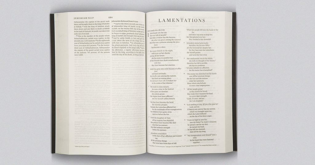 ESV Thinline Bible Leather Bound – Import, 25 March 2003