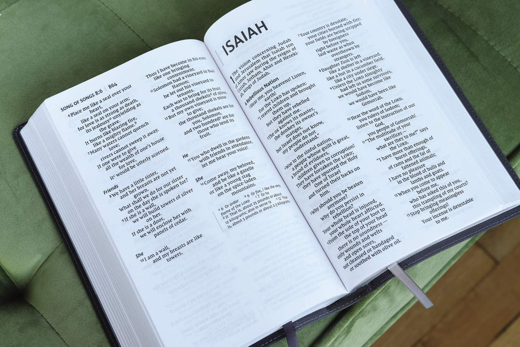NIV, Personal Size Bible, Large Print, Leathersoft, Black, R Imitation Leather – 26 November 2019