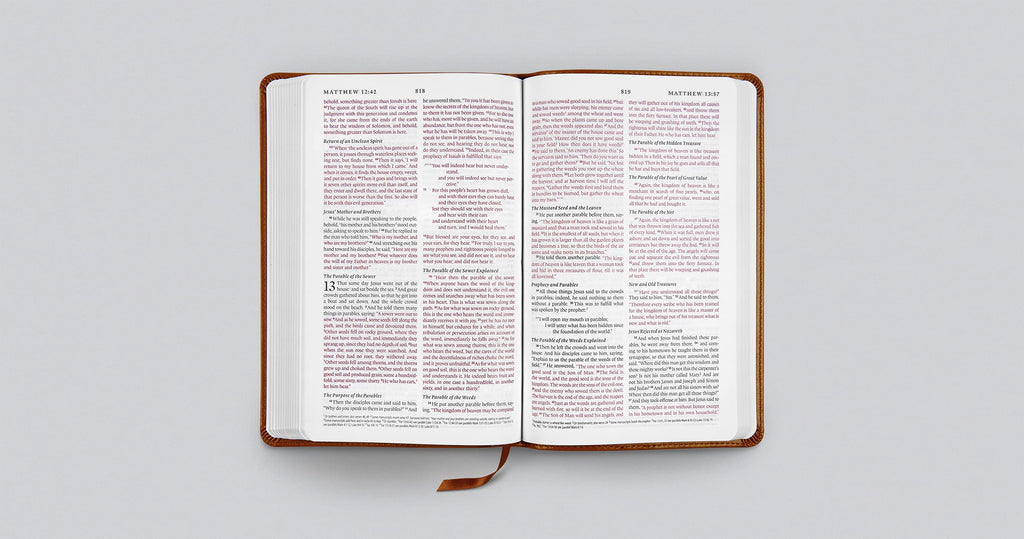 ESV Thinline Bible: English Standard Version, Terracotta, TruTone, Ornament Design, Thinline Leather Bound – Import, 26 August 2021