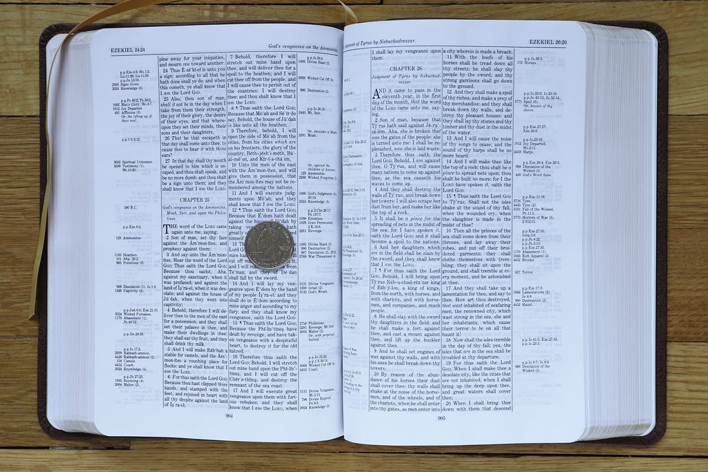 KJV, Thompson Chain-Reference Bible, Handy Size, Leathersoft, Brown, Red Letter: King James Version, Brown, Leathersoft, Red Letter, Handy Size Imitation Leather – Import, 8 June 2021