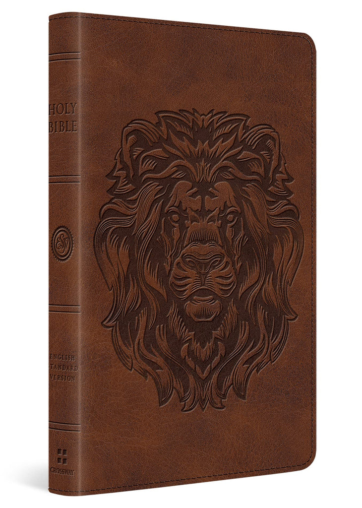 ESV Thinline Bible Imitation Leather – Import, 29 February 2016
